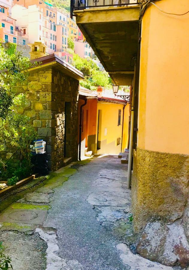 Willy'S Apartment Manarola Extérieur photo